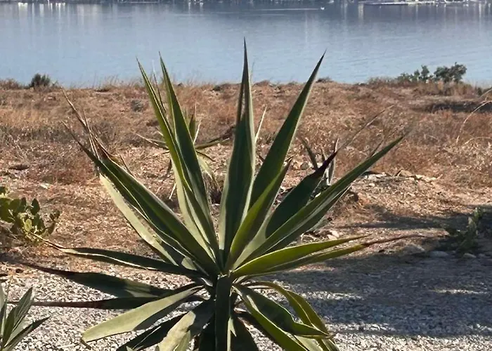 Achivadolimni Seaview 別荘 Provatas